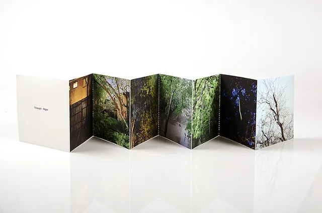 Books & Other Projects by Teresa Munisteri