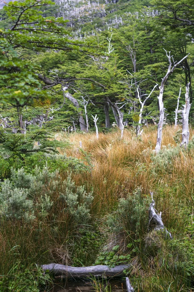 Landscapes 2, photograph by Teresa Munisteri
