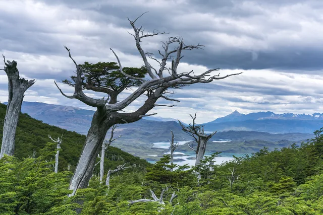 Landscapes 3, photograph by Teresa Munisteri