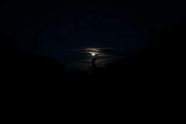 Landscapes 6, photograph by Teresa Munisteri