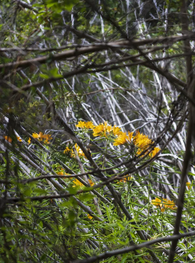 Landscapes 7, photograph by Teresa Munisteri