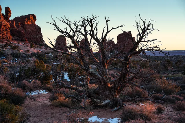 Landscapes 9, photograph by Teresa Munisteri