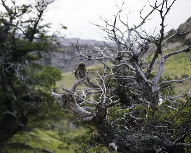 Landscapes 10, photograph by Teresa Munisteri