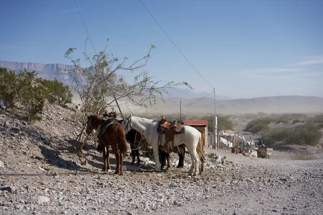 Landscapes 19, photograph by Teresa Munisteri