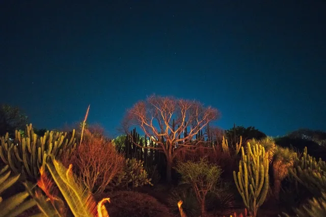 Landscapes 22, photograph by Teresa Munisteri