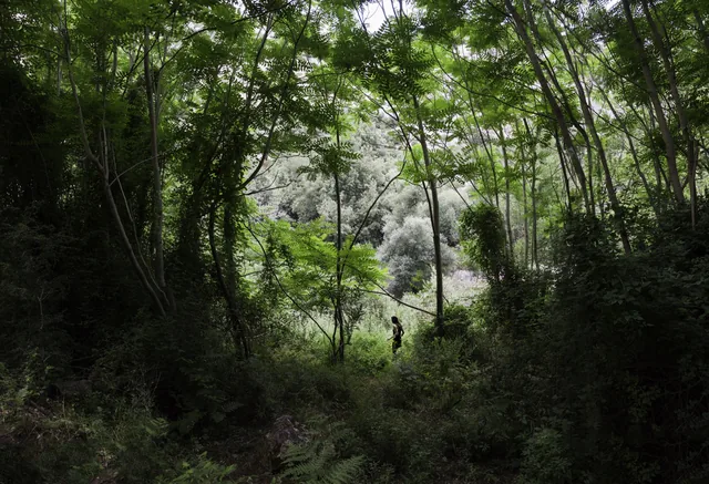 Sub Rosa 1, photograph by Teresa Munisteri