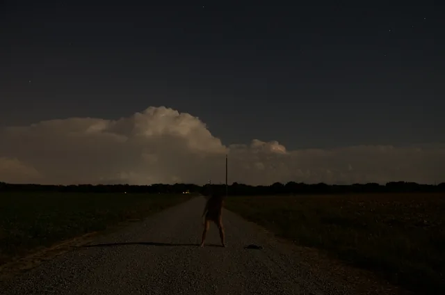 Sub Rosa 14, photograph by Teresa Munisteri