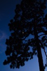 _DSC4808.jpg