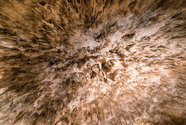 untitled-183.jpg