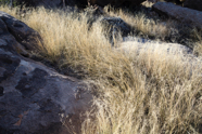Hueco Tanks-104.jpg
