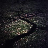 Shadows_Spread_2014.jpg