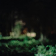 blur.jpg