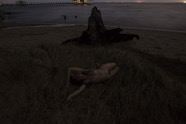 grasses01.jpg