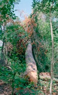 Munisteri_Waiting-27.jpg