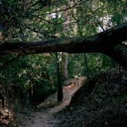 Underpass.jpg