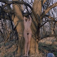 Francis.gif