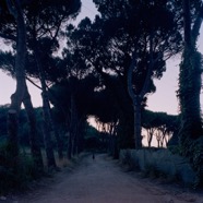 pinoli_road.jpg