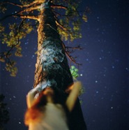 Night Canopy.jpg