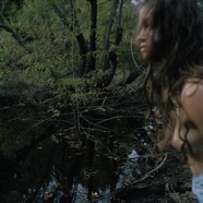 swamp.gif
