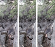 RockClimber_Compilation.jpg