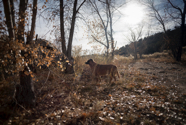 untitled-371.jpg