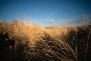 untitled-1-5.jpg