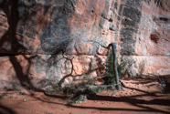 LakeCanyon-67.jpg