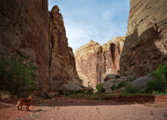 untitled-36-11-2-Edit.jpg