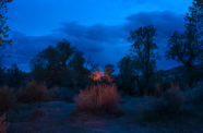 untitled-20-14.jpg