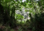 GreenCastles-Edit.jpg