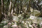 _DSC6472.jpg