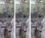 RockClimber_Compilation.jpg