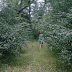 Jasper_02