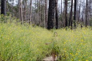 Munisteri_Waiting-5