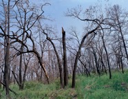Munisteri_Waiting-10