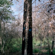 Munisteri_Waiting-3