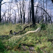 Munisteri_Waiting-4