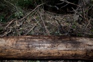 Munisteri_Waiting-31