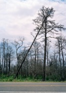 Munisteri_Waiting-14