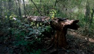 Munisteri_Waiting-16