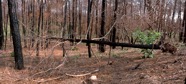 Munisteri_Waiting-11