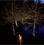 Pond
