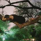 hammock
