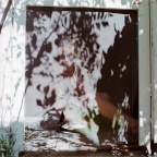 Shadows2