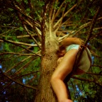Tree_Climbing