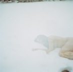 SnowApparition