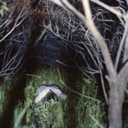 Refuge