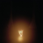 SwampLight