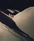 dunes