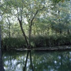 honey_creek_swing